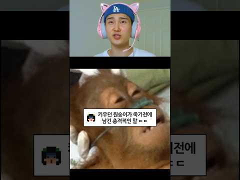 키우던 원숭이가 죽기전에 남긴 충격적인 말 ㄷㄷ