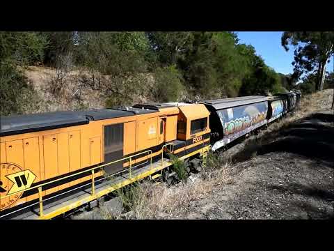 Rail Action in the Adelaide Hills 10th March 2022 SCT Logistics, Pacific National and OneRail