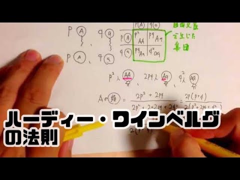 エンベリジダエについて詳しく解説