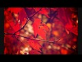 Stoa - Autumn 