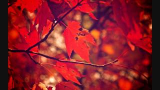 Stoa - Autumn