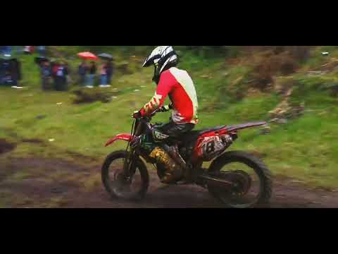 categoría libre Balalaica Nariño