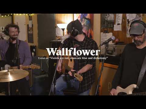 Forest Pooky Quartet - Reheasal Sessions - Wallflower