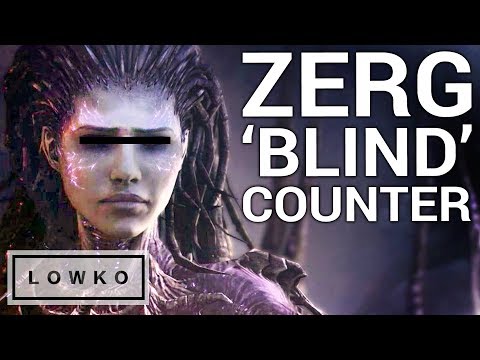 StarCraft 2: ZERG BLIND COUNTER?! (Scouting Guide)