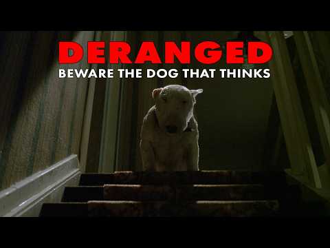 The Dog In This Movie Is A Sociopath