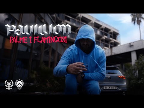 PAVILLION - PALME I FLAMINGOSI (OFFICIAL VIDEO)