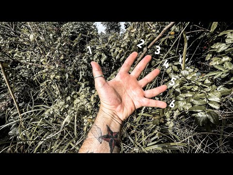 6 GAME CHANGING items you need for cooking in the outdoors.