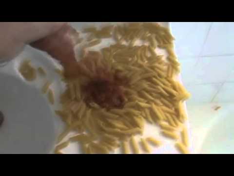 Undyne's Cooking Lessons (In A Nutshell) [Undertale Shitpost]