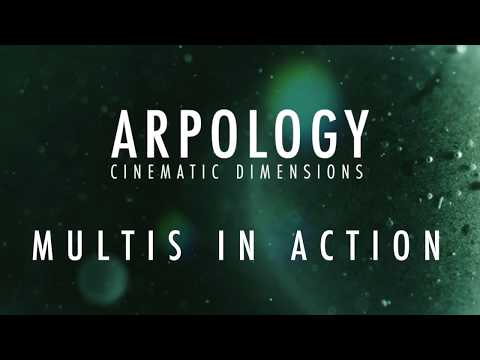 MULTIS IN ACTION: Arpology - Cinematic Dimensions