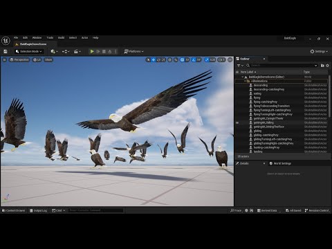 Realistic Animated Bald Eagle importing in the UE5.2