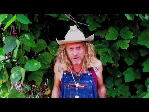 Tennessee Walker Mare Official Video - Jimbo Mathus & The Tri-State Coalition