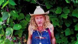 Tennessee Walker Mare Official Video - Jimbo Mathus & The Tri-State Coalition