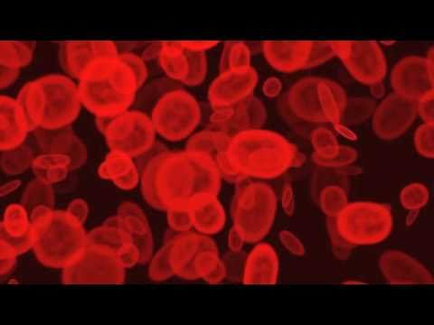 Dexter vs DJ Hidden - The Unseen Blood Theme (Stefan ZMK Mashup)