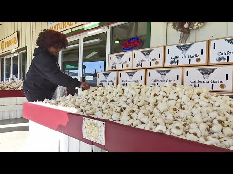 download lagu mp3 mp4 Harmony Garlic, download lagu Harmony Garlic gratis, unduh video klip Harmony Garlic