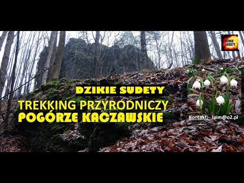 Dzikie Wąwozy