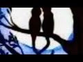 jules shear "all thru the night"