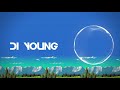 Di Young Pixel Pig