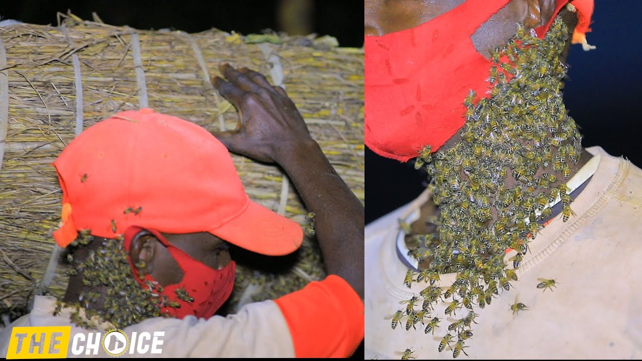 Wa muvumvu wambara inzuki umubiri wose tumugezeho:ahamagara inzuki zikaza|bavuka ko akoresha amarozi