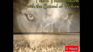 Prairie Thunderstorm and Rains with the Natural Sound of Wolves