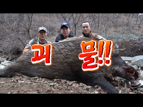 아이콘