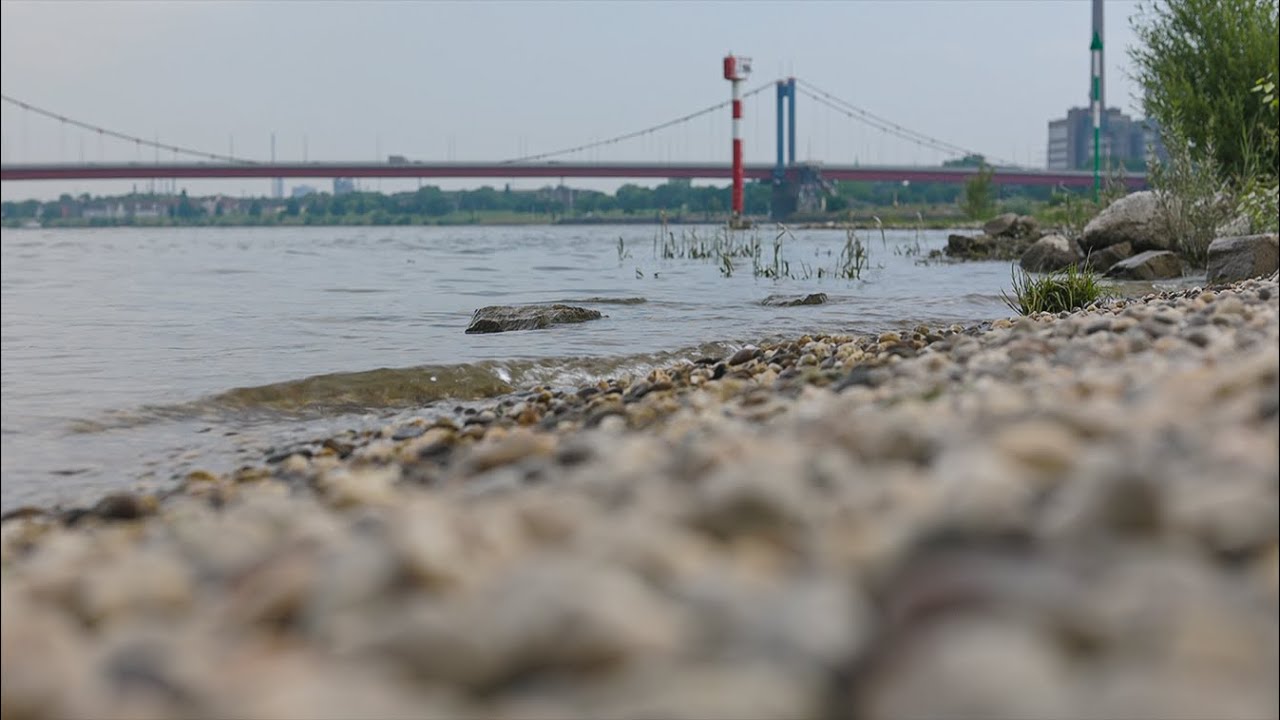 Das Schwimmen im Rhein ist verboten. Wieso es so gefährlich ist erklärt Feuerwehrchef Oliver Tittmann. Was zu tun ist, wenn man selbst oder andere im Rhein in Not geraten erläutert Martin Flasbarth von der DLRG,