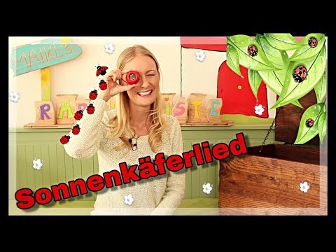 Das Sonnenkäfer-Lied (Erst kommt der Sonnenkäferpapa) I Kita Lieder I Grabbelgruppe I Pekip