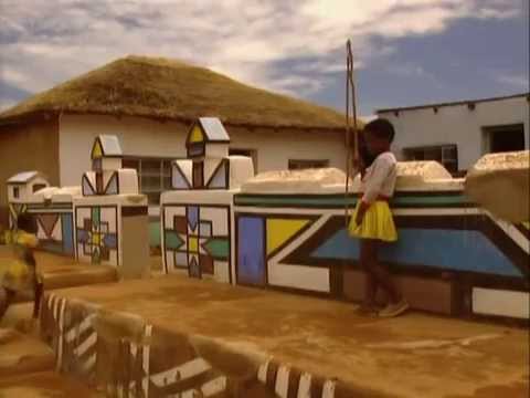 The Human Animal Ep. 6 - Beyond Survival