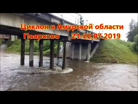 поярково амурская область. день села поярково. поярково амурская область. село поярково амурской области михайловского района. прогноз погоды поярково амурская область михайловский.