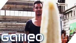 Menschen sind zur Hälfte eine Banane: Skurrile Fakten über Ernährung | Galileo | ProSieben