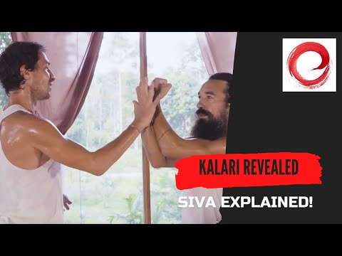 Evade - Distract - Counter ATTACK | Kalari REVEALED part  4