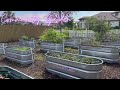 Community Garden Babcock Ranch Southwest Florida