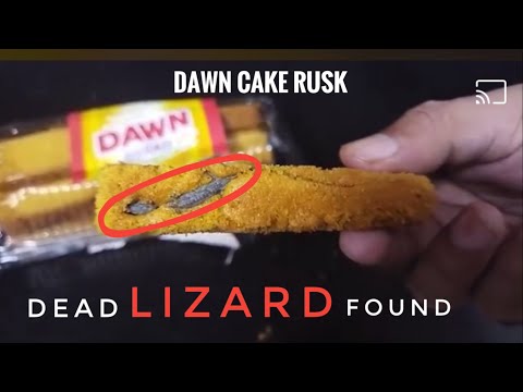 Dead Lizard found in Dawn Cake Rusk 🤢🤮