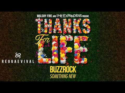 Buzzrock - Something New | Thanks For Life Riddim