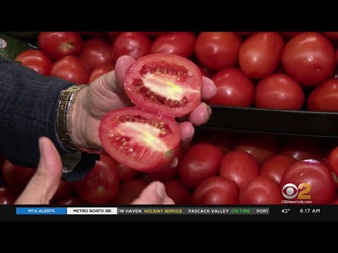 Tip Of The Day: Roma Tomatoes