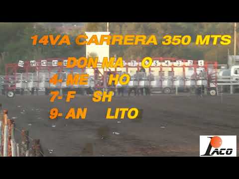 MENCHO HIPODROMO DON SOHAR CRUZ DEL EJE 05 06 2022