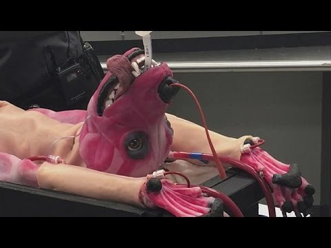 Subluxation der ersten Halswirbel Symptome und Behandlung 5 Monate sehr wunden unteren Rücken