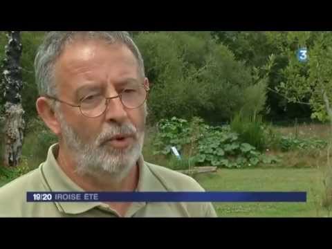 JT Local 19 20   Iroise France 3 2014 08 07 19 18
