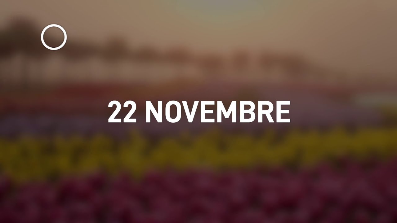 22 Novembre 2024 | Meditazione Parole di Vita