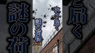 【実話】スマホに残された『ドヤ顔写真』が証拠に…ドローン密輸組織が残した致命的なミスとは！？ #shorts