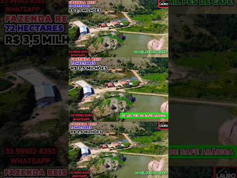FAZENDA COM 60 MIL PÉS DE CAFÉ ARÁBICA | 72 HECTARES | R$ 3,5 MILHÕES