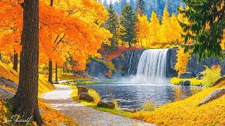 【My Autumn】 Музыка исцеляет сердце🍁 Осенние мелодии для снятия стресса и исцеления