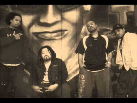 Profesionales - Radikal people