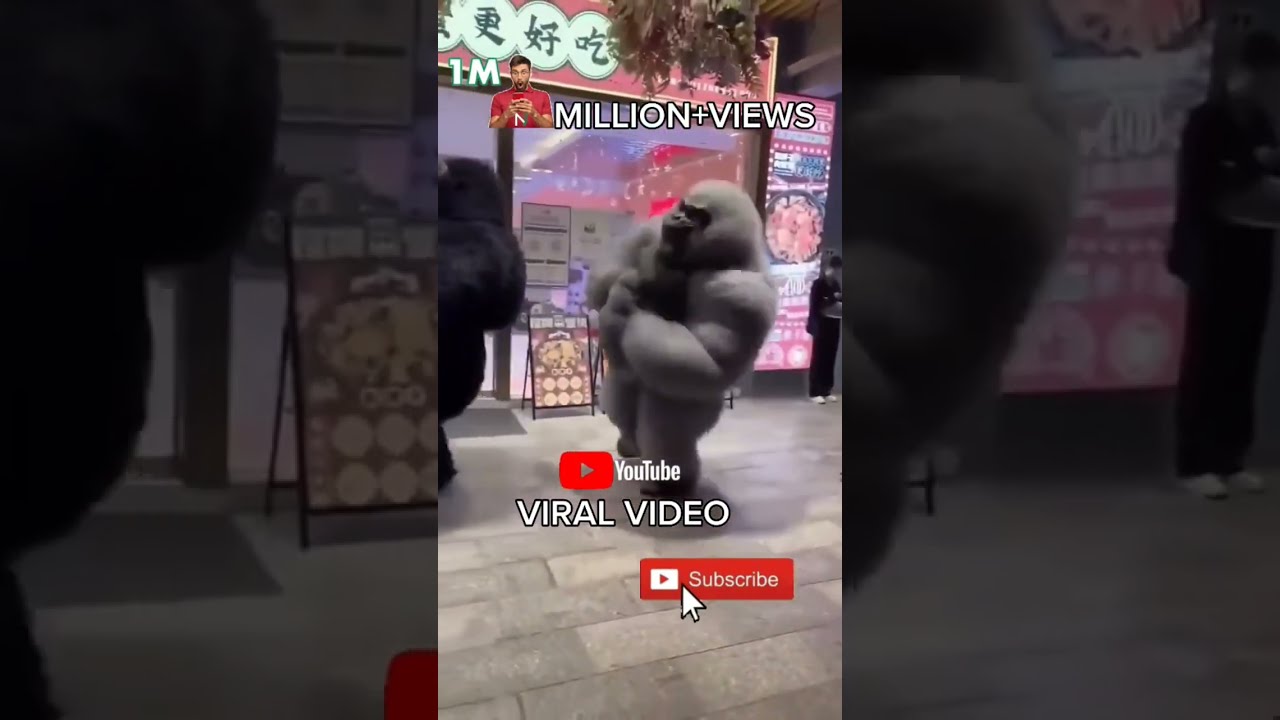 VIRAL GORILLAS DANCING -