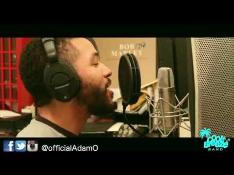 Party Animal (Cover) by Adam O of Cool Breeze