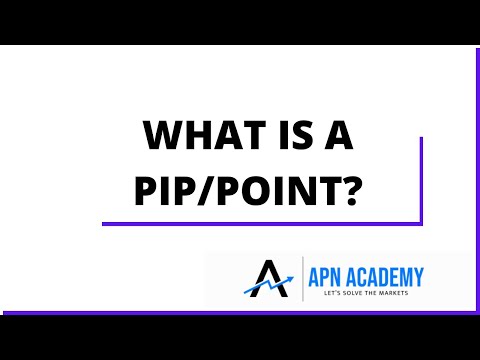 Forex Trading For Beginners: What Is A Pip/Point?(Video#3)