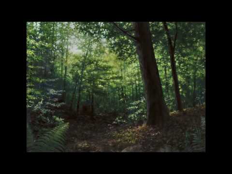 Das kalte Herz Wilhelm Hauff Hörbuch komplett