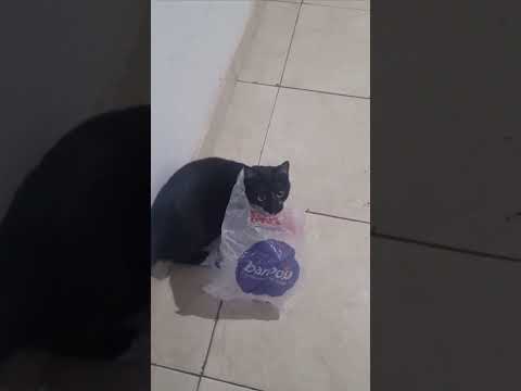 Vídeo de Maria Clara 