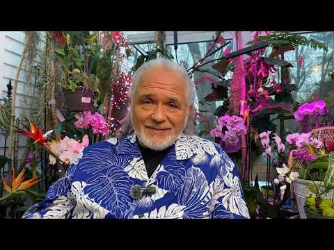 FRANK26….2-14-26……MALIKI CARRIES GUNS