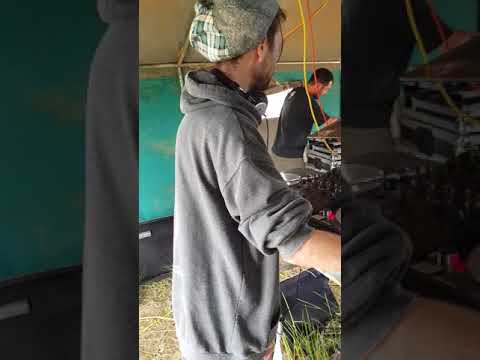 gully karnage et vsp et bbs