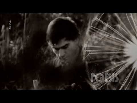 Poesis: Dan Nuţu – Zi liniştită. Zi luminoasă de Ilarie Voronca (@Arhiva TVR)